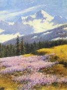 Stanislaw Witkiewicz Crocuses with snowy mountains in the background oil on canvas